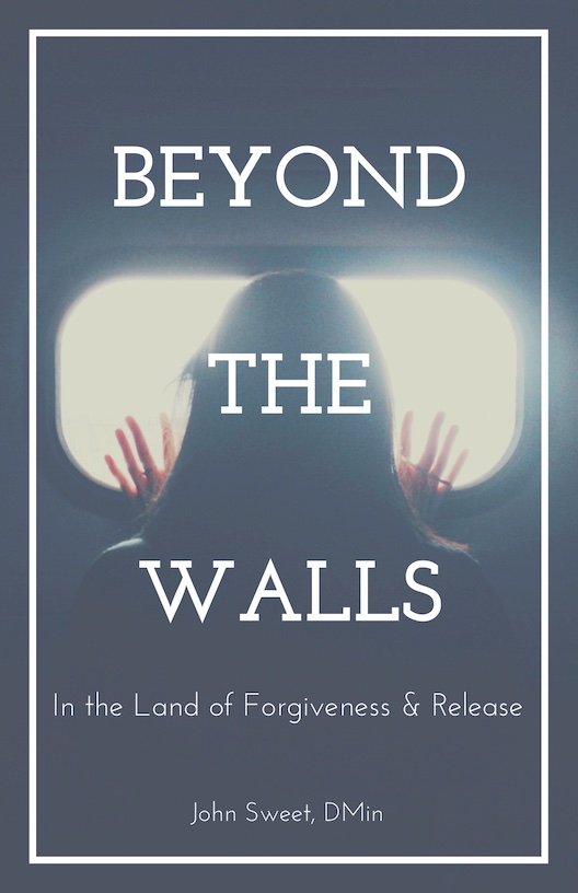 Cover of Beyond the Walls